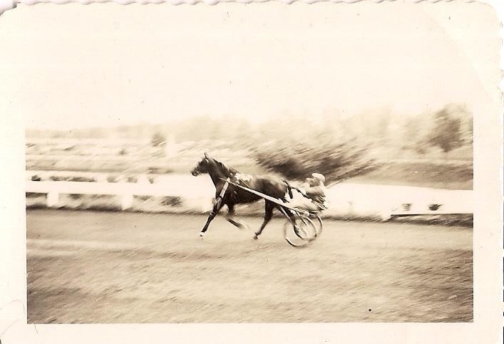 Man Behind Horse On Track Speeding By Sulky Cart Racing Vintage 1930s Photo