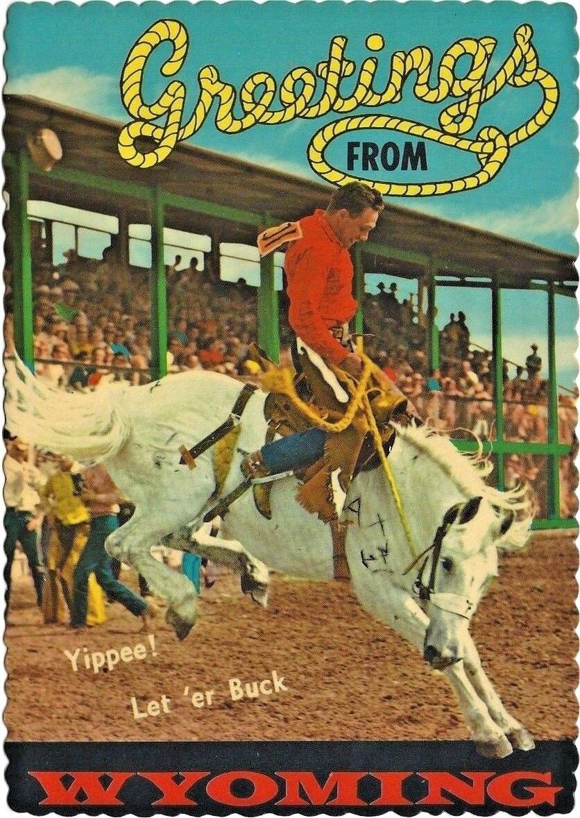 Greetings from Wyoming. Nice Rodeo Illustrated Postcard. 1970\'s/80\'s. Unused. 