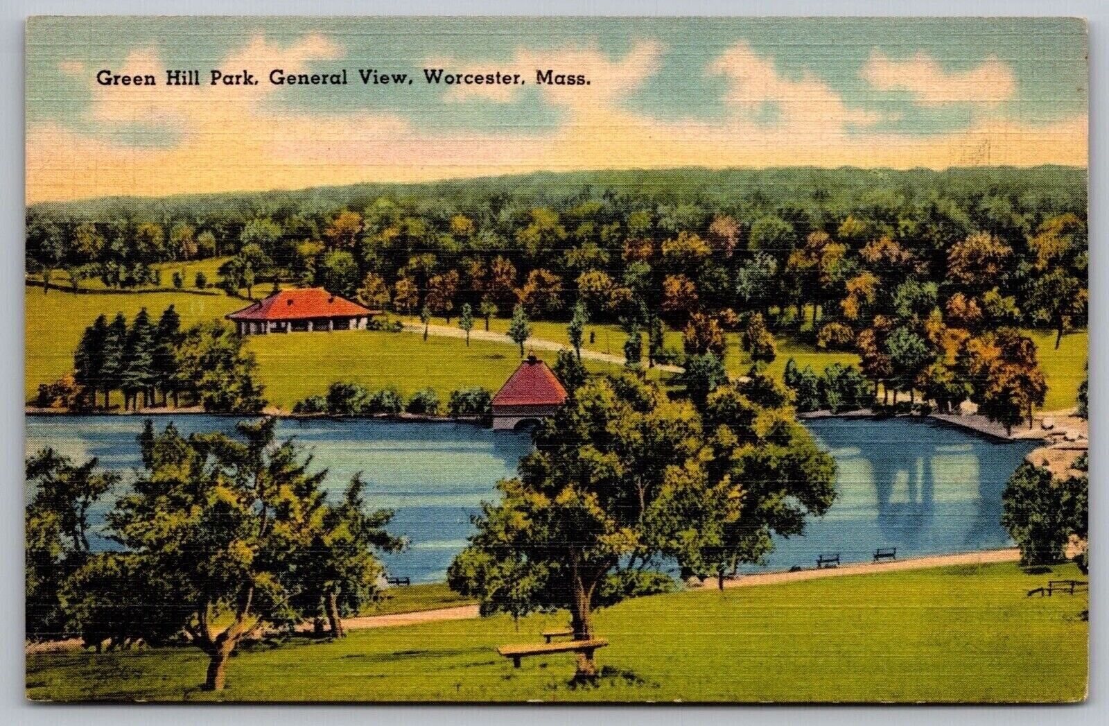 Green Hill Park General View Worcester Massachusetts Mass Linen Forest Postcard