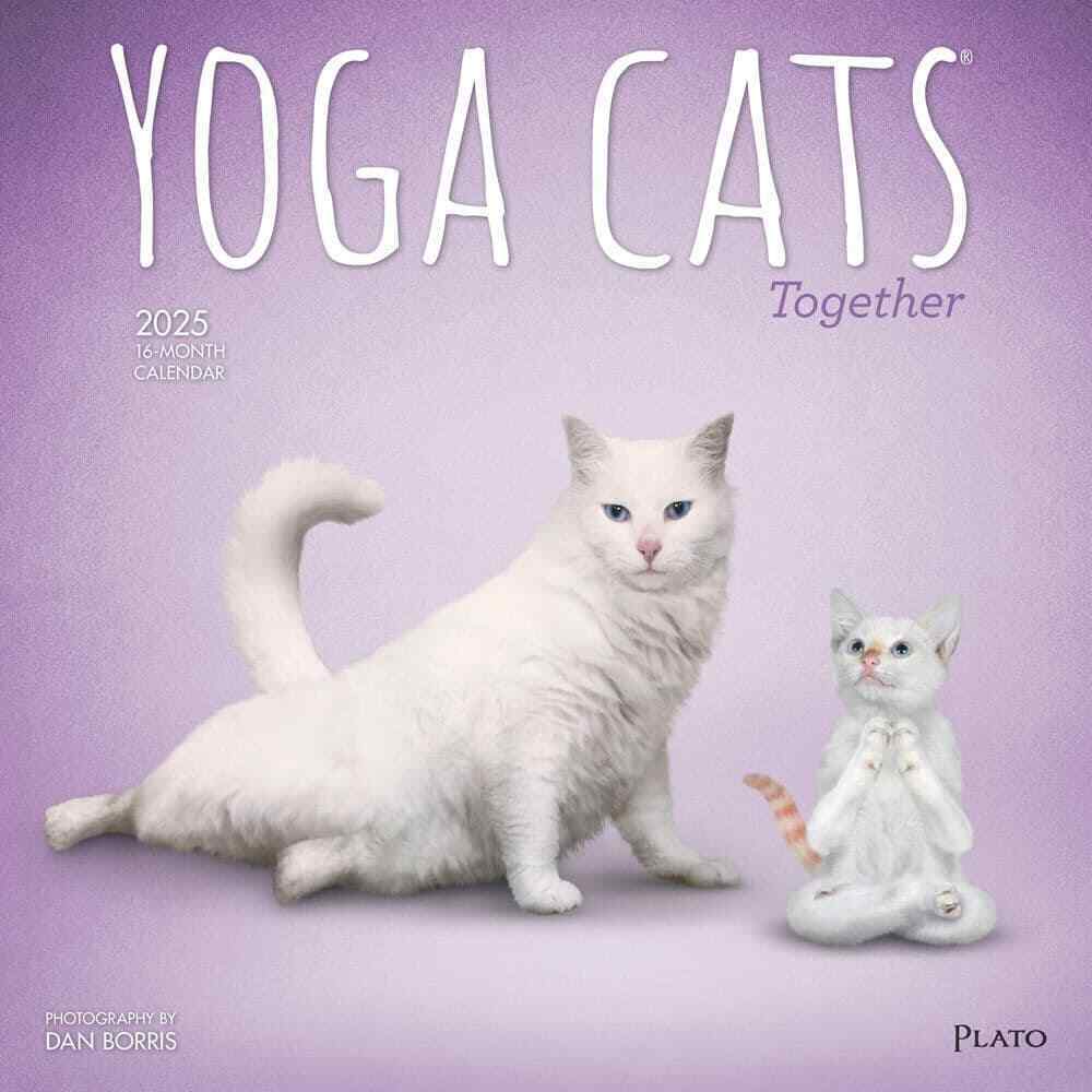 BrownTrout,  Yoga Cats Together by Plato 2025 Wall Calendar