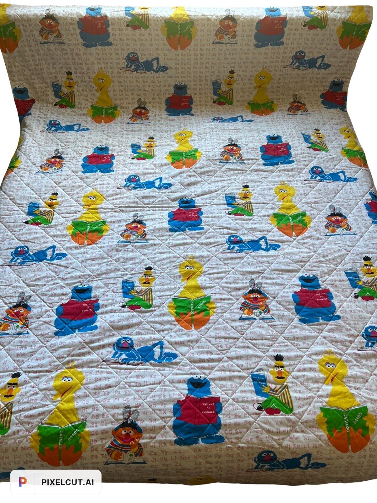 Huge Vintage Sesame Street Blanket Comforter Big Bird ABC’s Alphabet Rare 110x81
