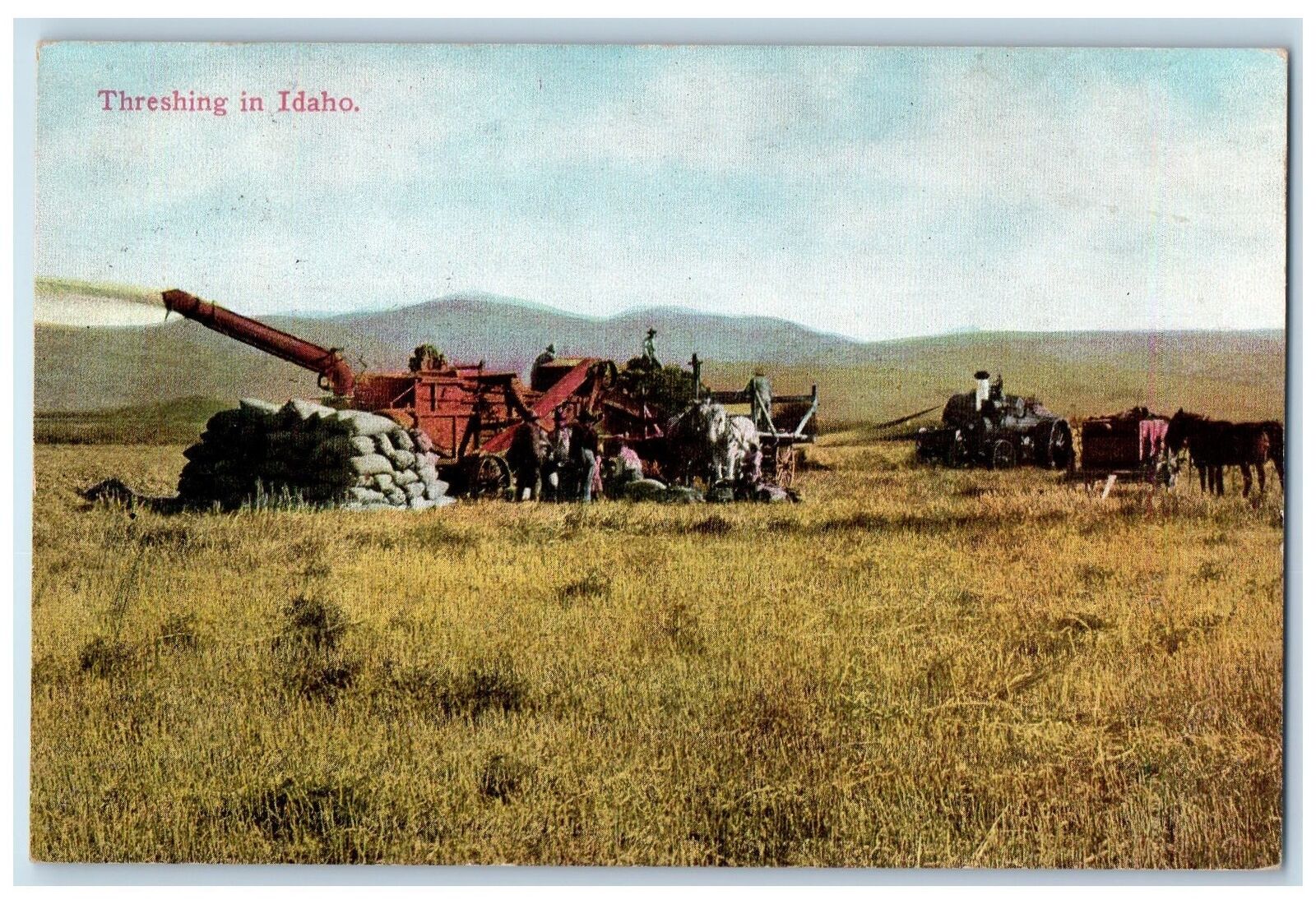 Boise Idaho ID Postcard Threshing In Idaho Scenic View 1913 Horses And Threshers