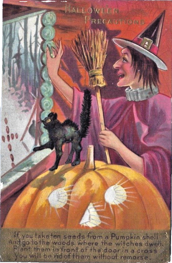 1909 Witch Jack O\'Lantern Bat Black Cat Halloween Precautions Postcard Nash No 2