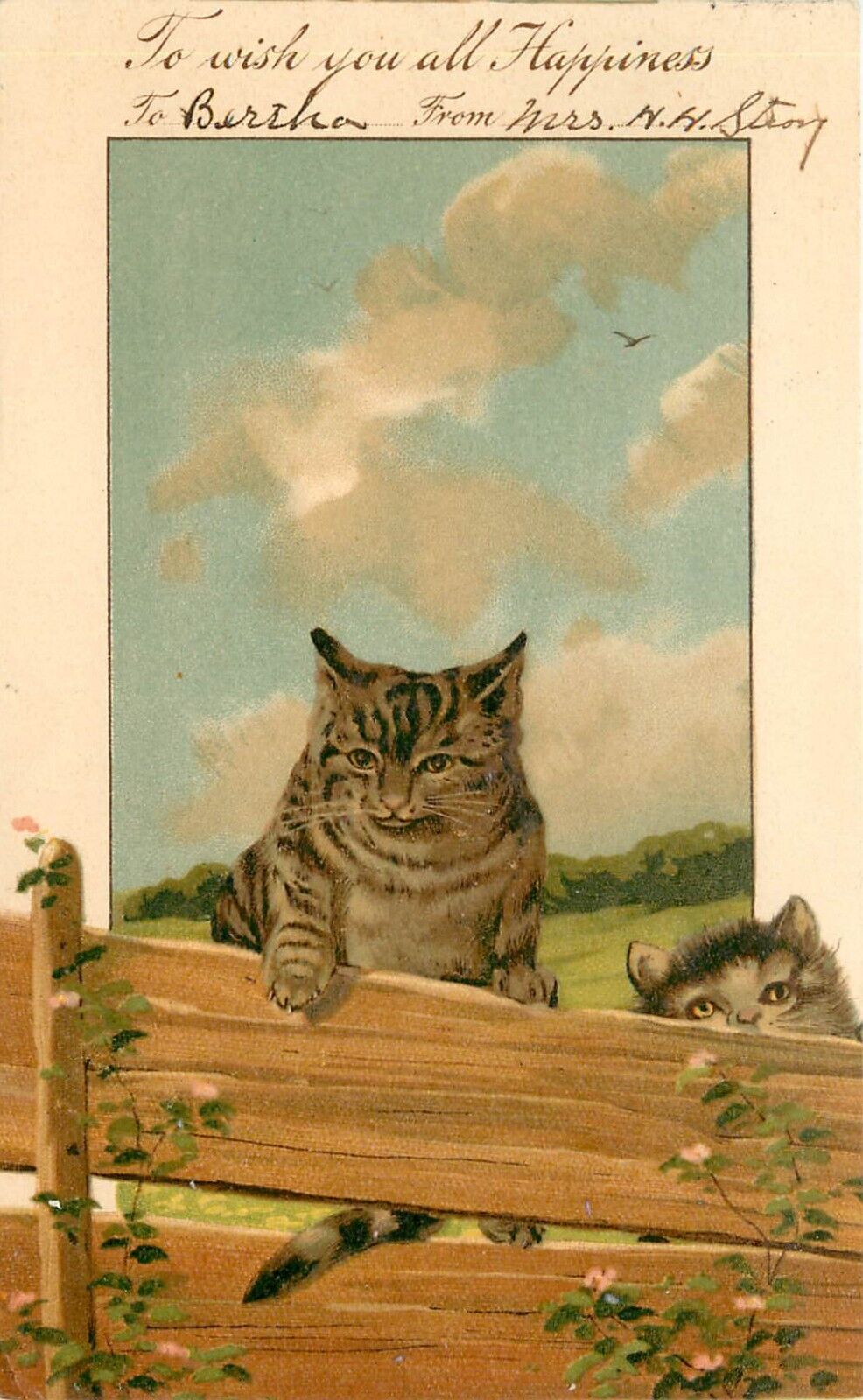 IAPC Postcard 5993. Brown Tabby Cats on Fence to Wish You All Happiness, Germany