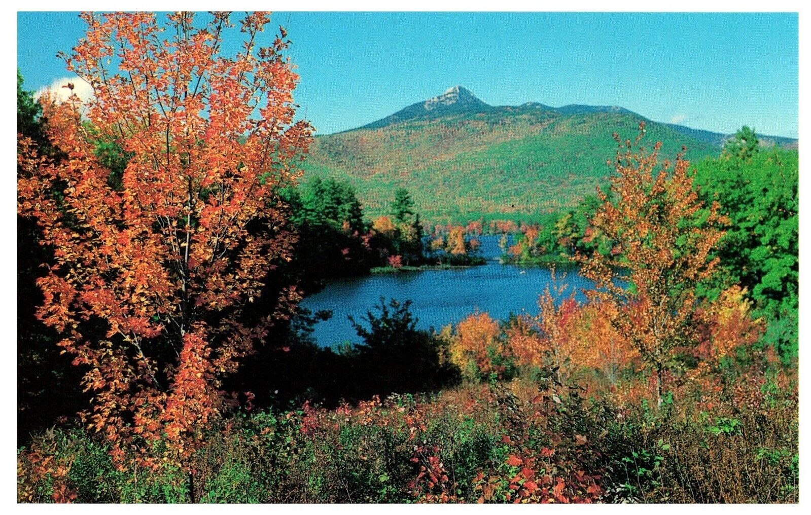 Mt Chocorua NH Albany New Hampshire UNP Chrome New England Fall Foliage Postcard