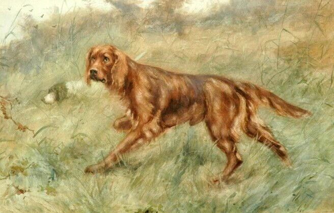Art Oil painting Johannes_Frederik_Hulk-An_Irish_Setter dog in landscape
