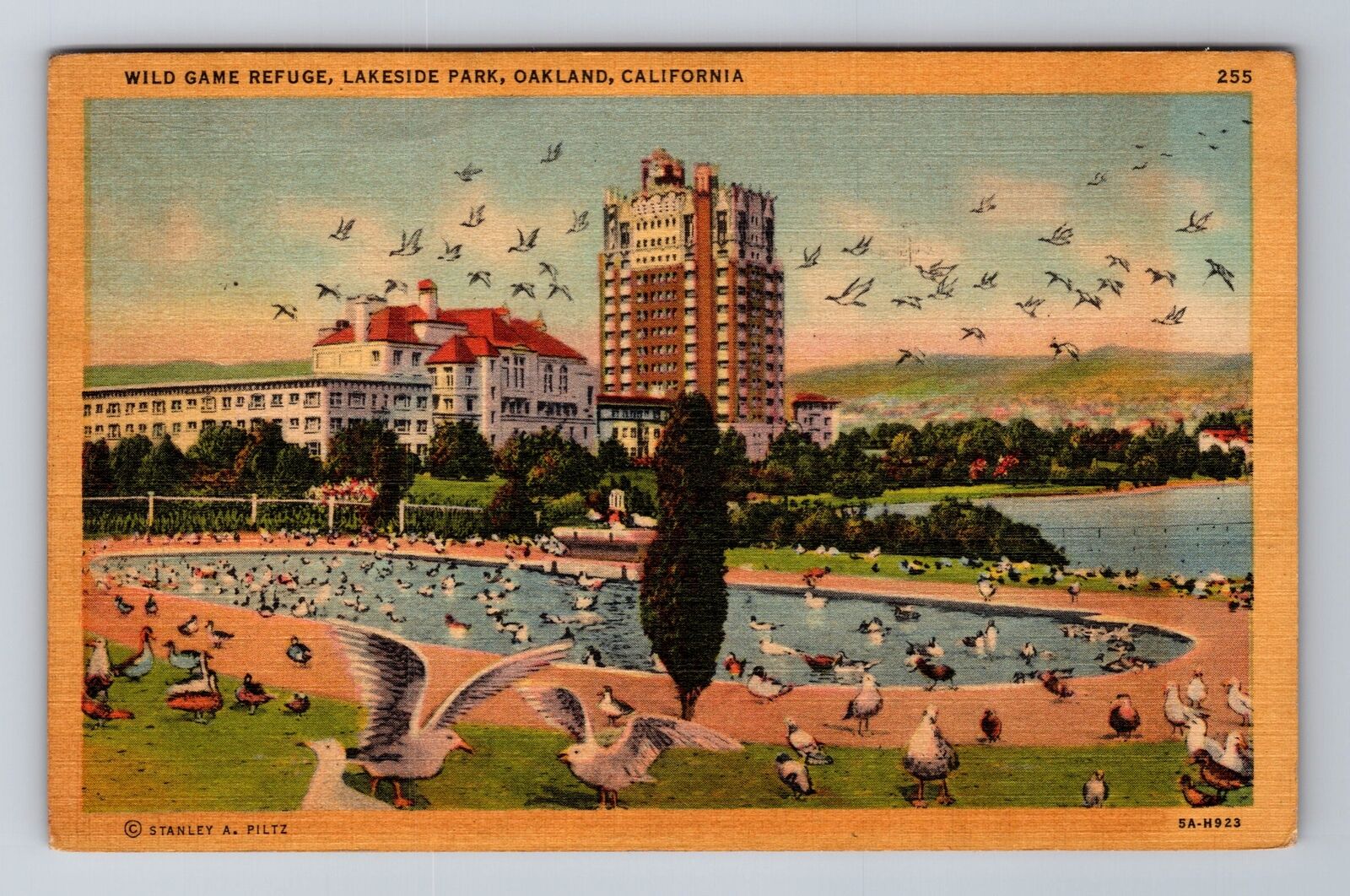 Oakland CA-California, Wild Game Refuge, Lakeside Park, Vintage c1953 Postcard