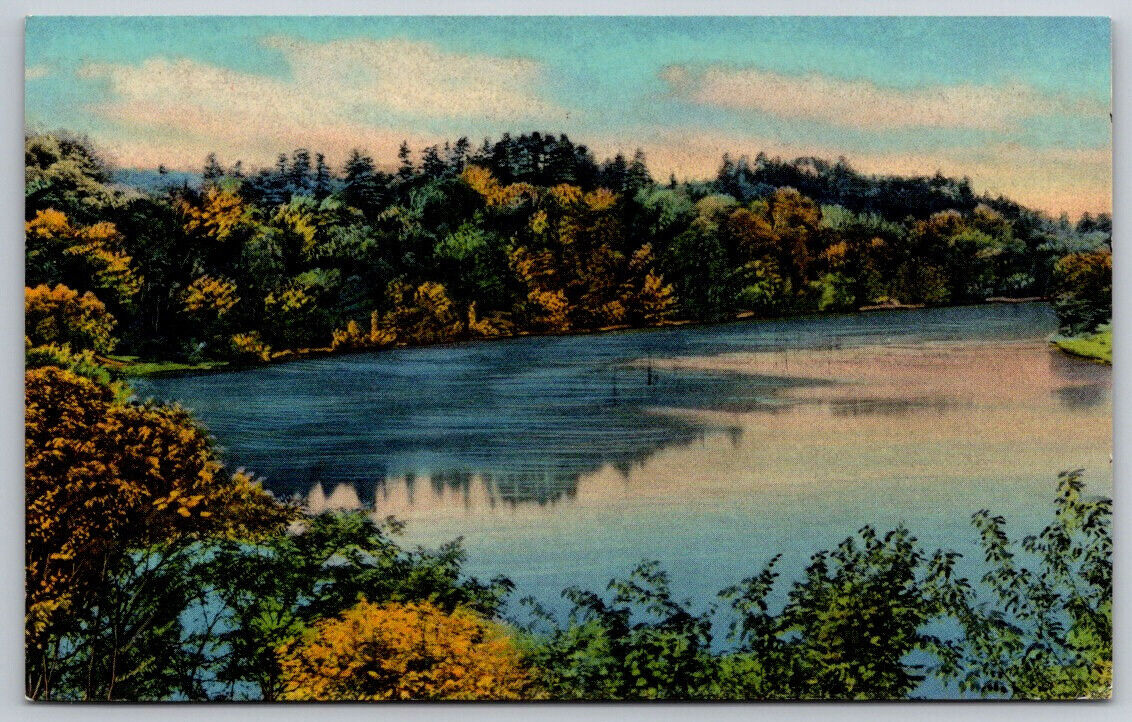 Scenic View of Tree Lined Lake in Fall Autumn Postcard