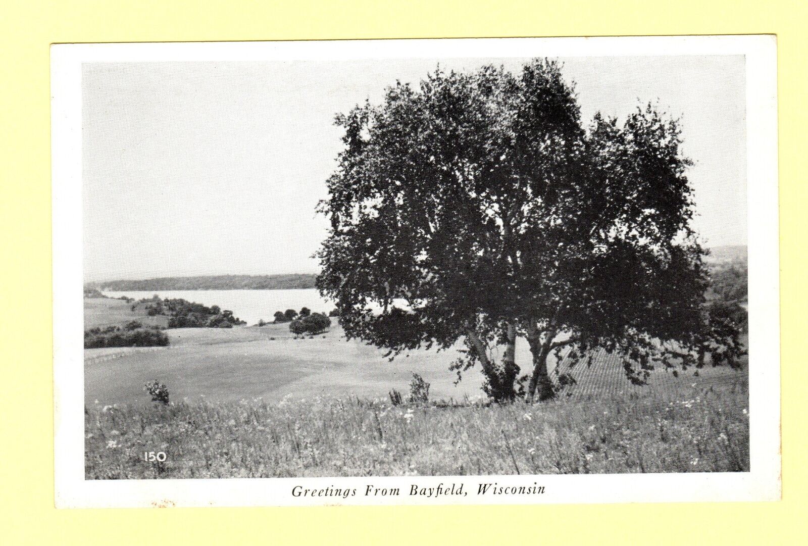 Greetings from Bayfield Wisconsin Summer Scene 1950s Postcard