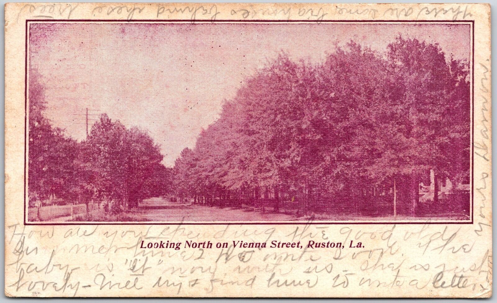 1906 Looking North On Vienna Street Ruston Louisiana LA Trees Posted Postcard