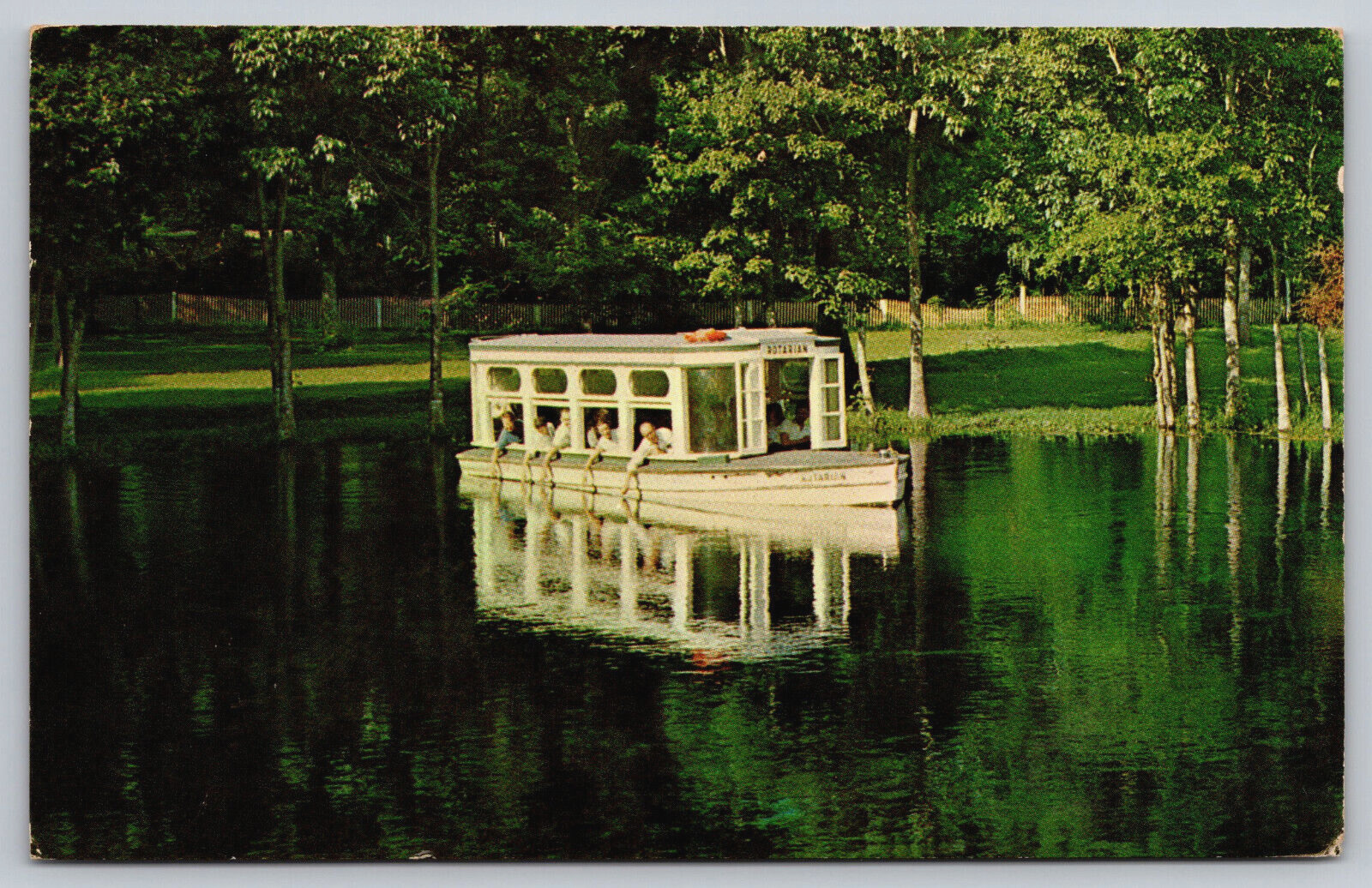 Silver Springs State Park, FL-Florida, Glass Bottom Boats, Vintage 1964 Postcard