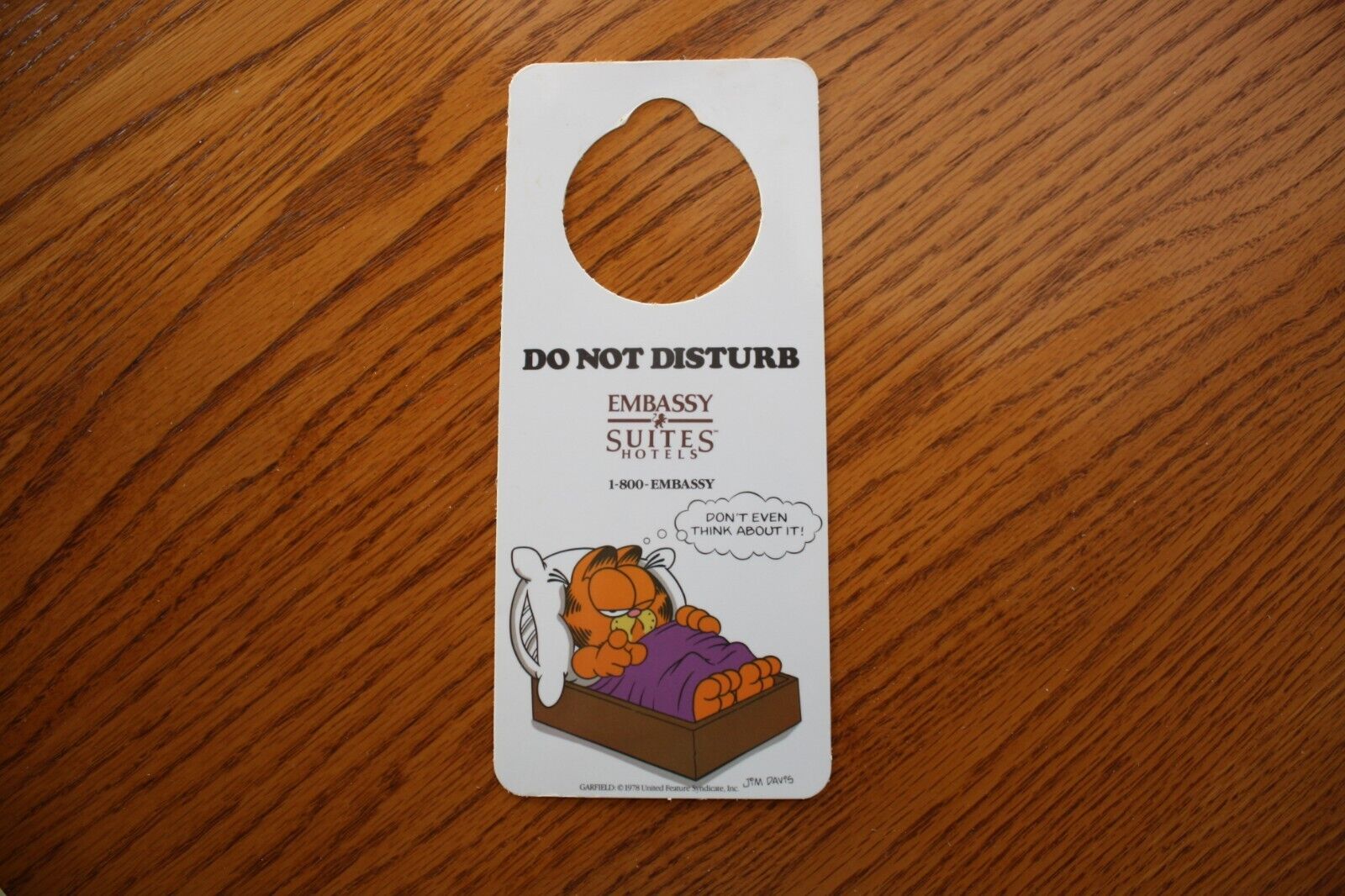 Garfield Embassy Suites Hotel Door Sign Do Not Disturb Don\'t even think about it