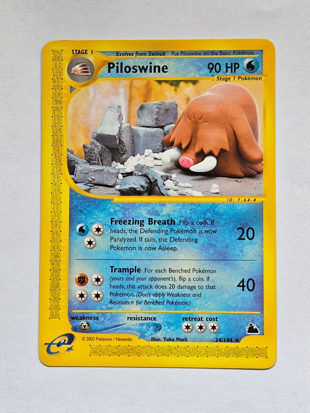 Piloswine 24/144 Skyridge Rare Non-Holo Pokemon Card WOTC 2003 - Near Mint