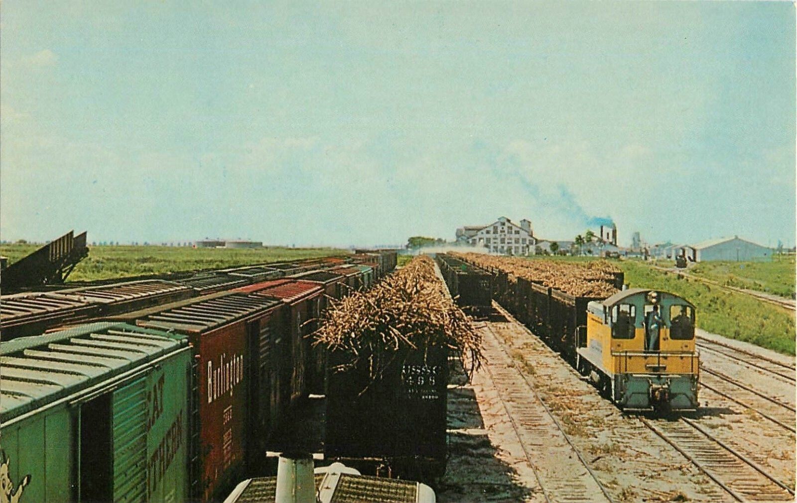 c1950s Trainload Of Sugar Cane, US Sugar CO, Clewiston, Florida Postcard