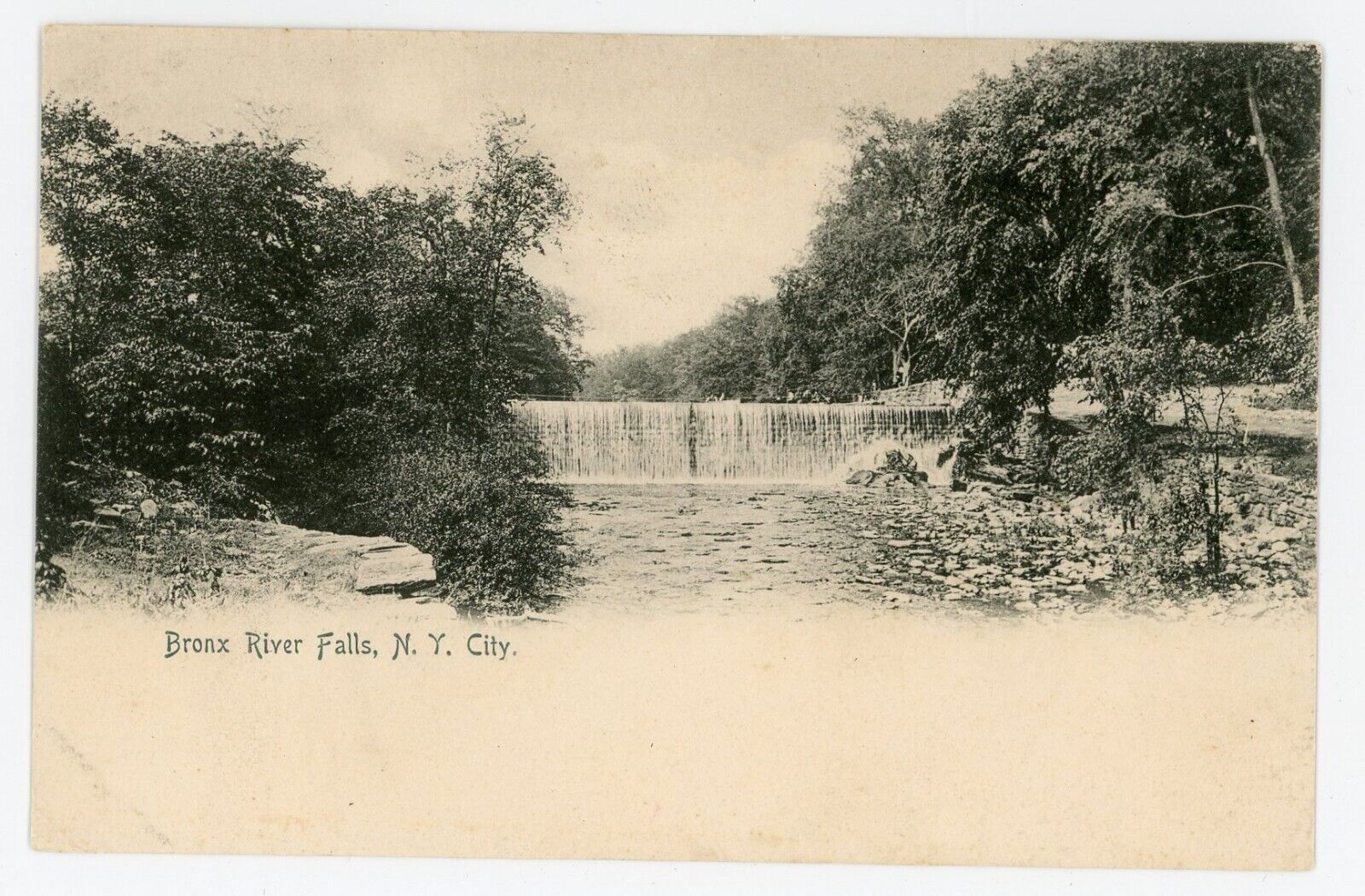 Antique Postcard Bronx River Falls New York NY Undivided Back Unposted