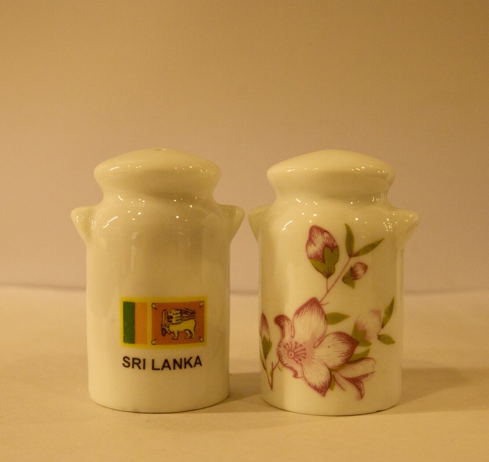 Cute Ceramic Salt and Pepper Shakers - Premium Home Decor Sri Lanka