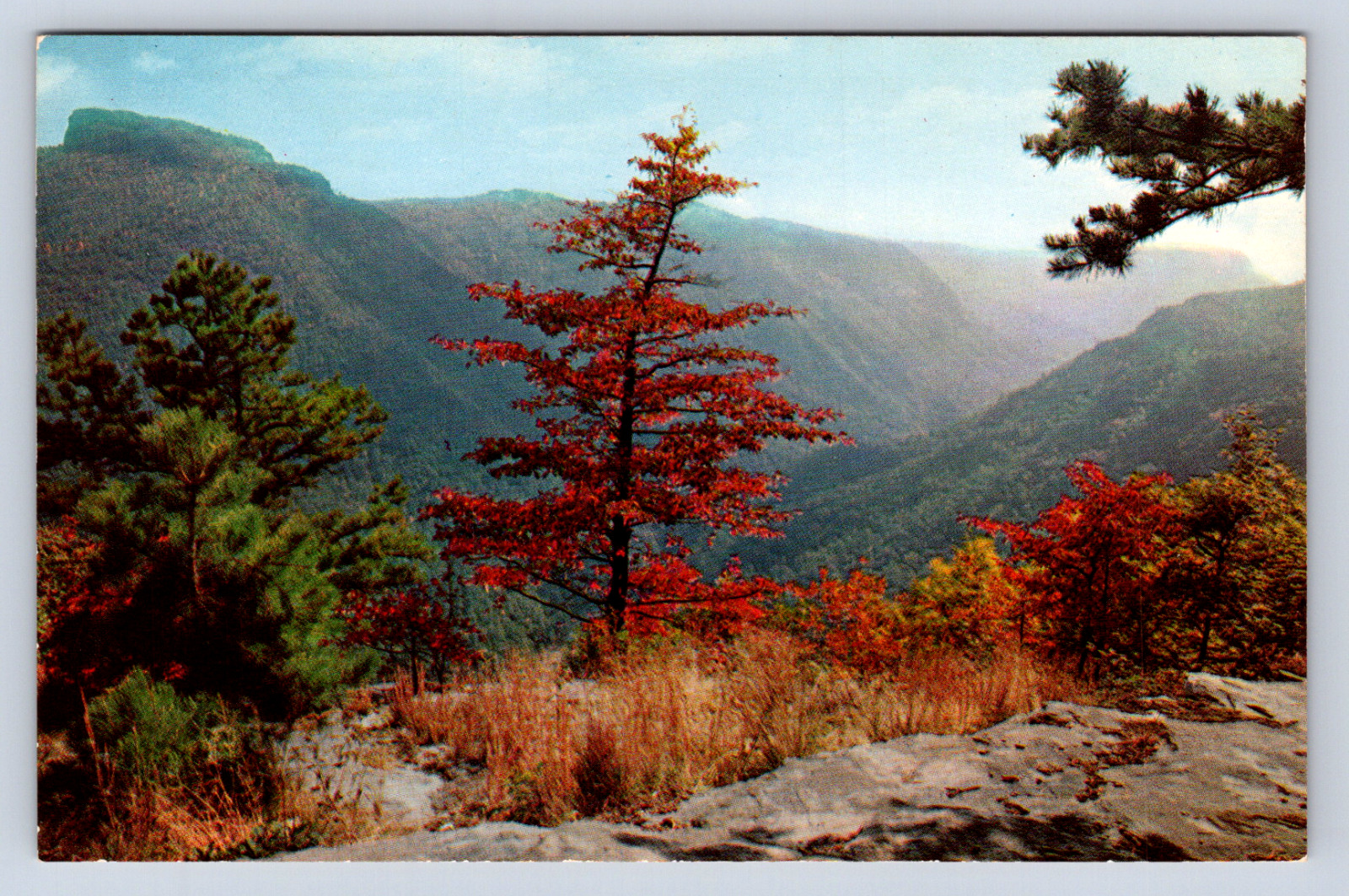 Linville Gorge Wisemans View Western North Carolina Vintage Postcard