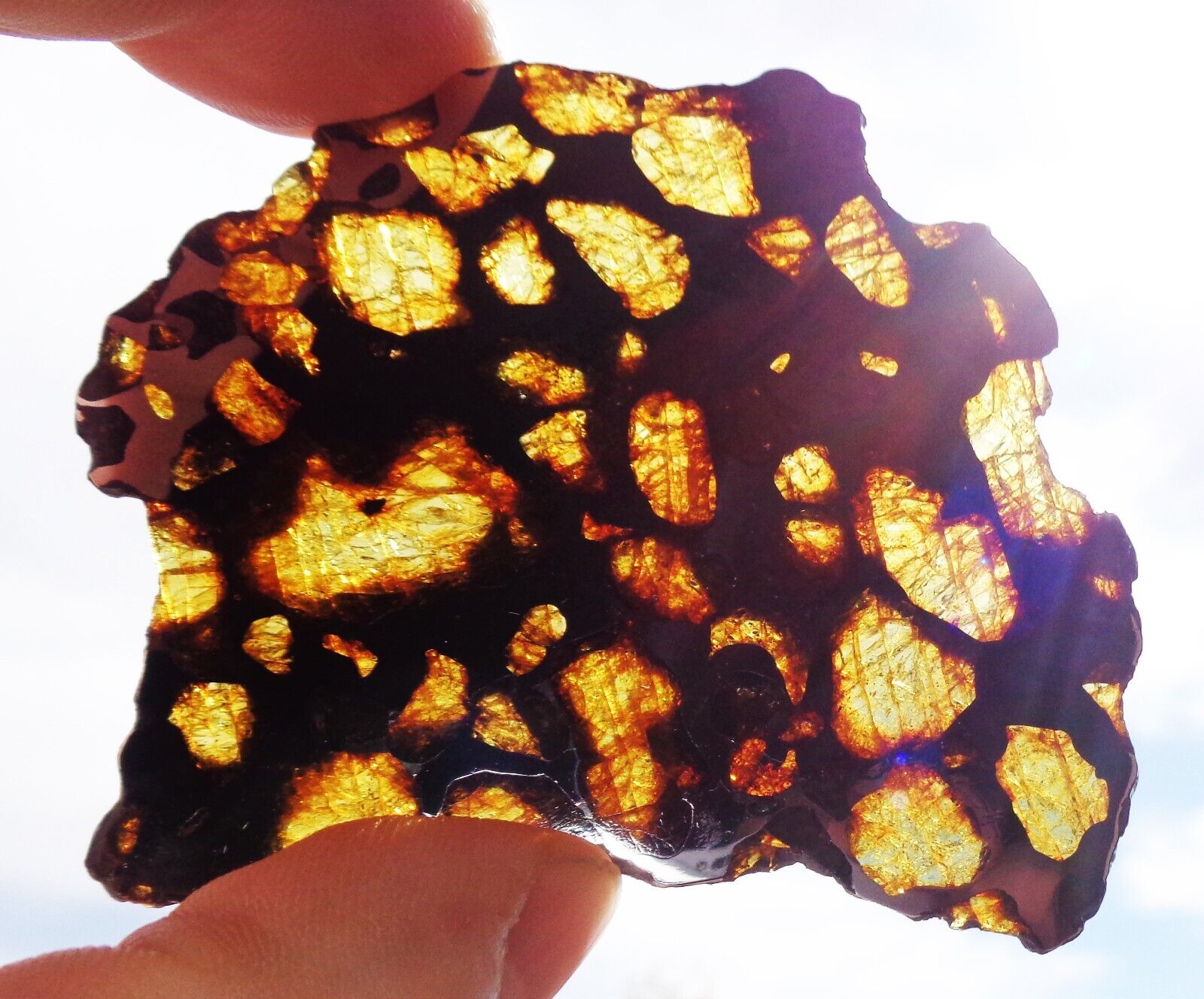 Meteorite IMILAC, Pallasite, Perfect complete transparent slice 42.6 grams.
