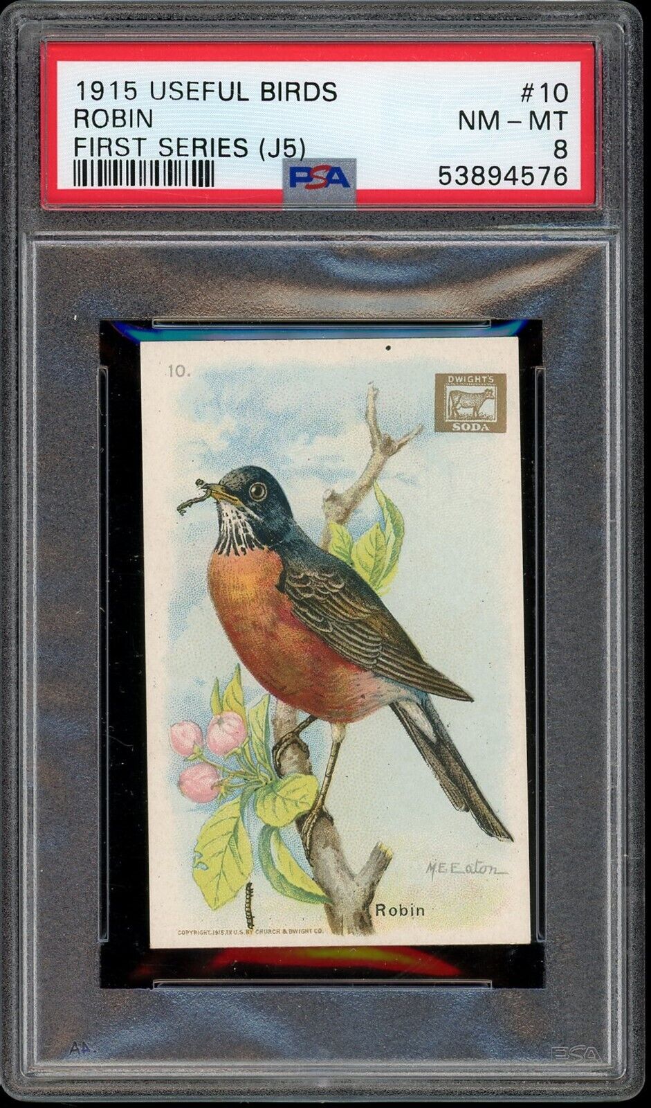 1915 J5 Church & Dwight Useful Birds of America #10 Robin PSA 8