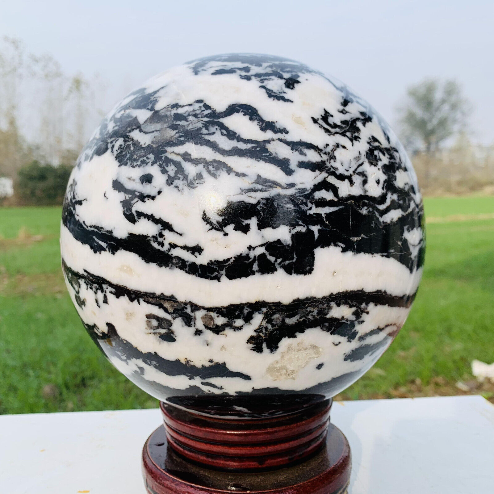 22.15LB Natural zebra stone sphere quartz Crystal polished ball healing decor