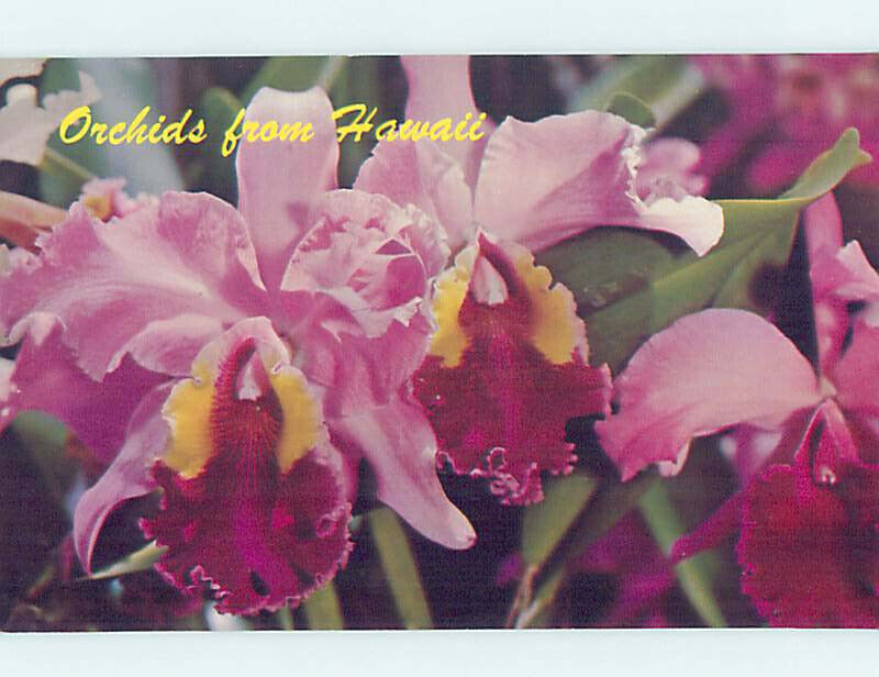 Pre-1980 ORCHID FLOWERS State Of Hawaii HI AD3642@