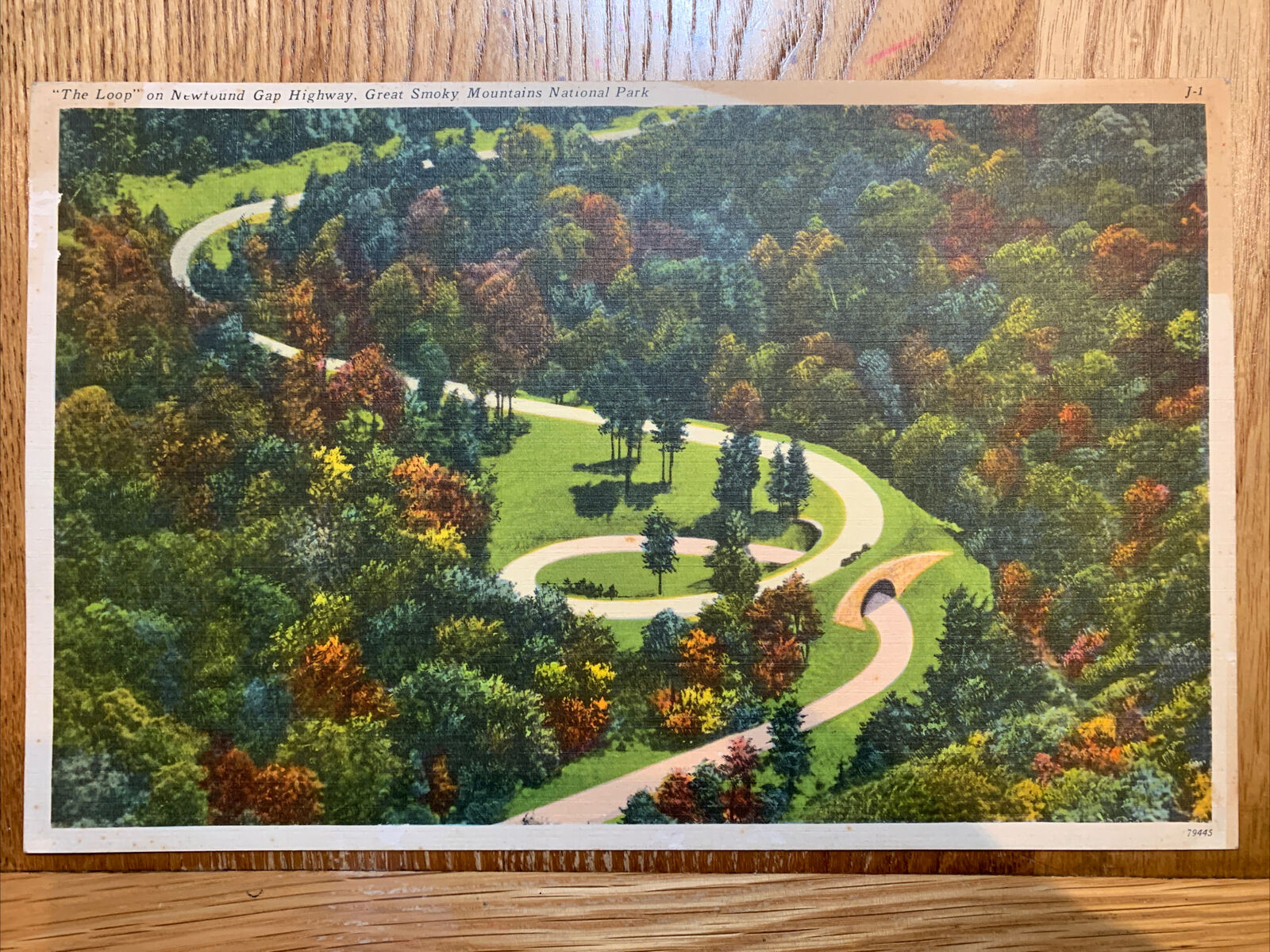 Vintage Great Smoky Mountains Giant Post Card 11x7\