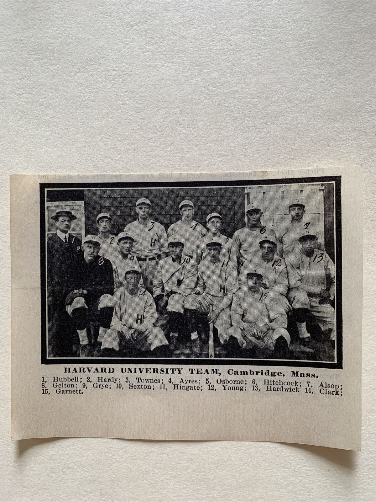 Harvard University Crimson Cambridge Massachusetts MA 1913 Baseball Team Picture