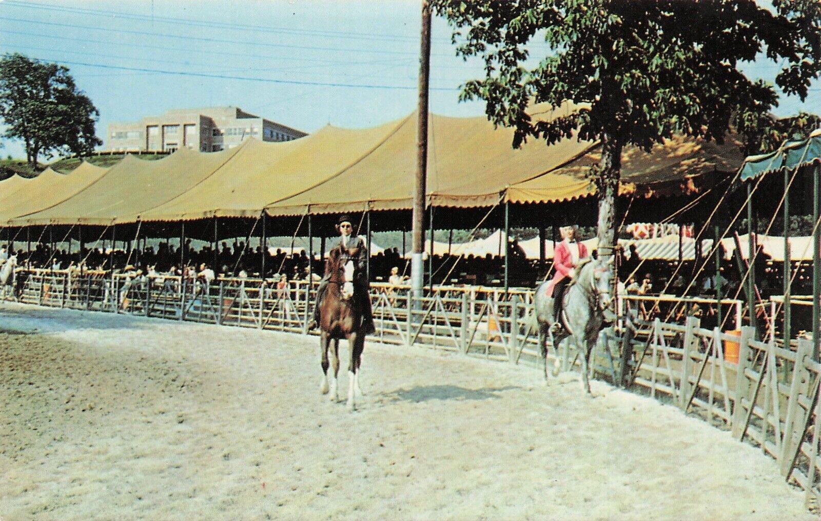 Sussex County Farm And Horse Show Riders Branchville New Jersey 1970s Postcard