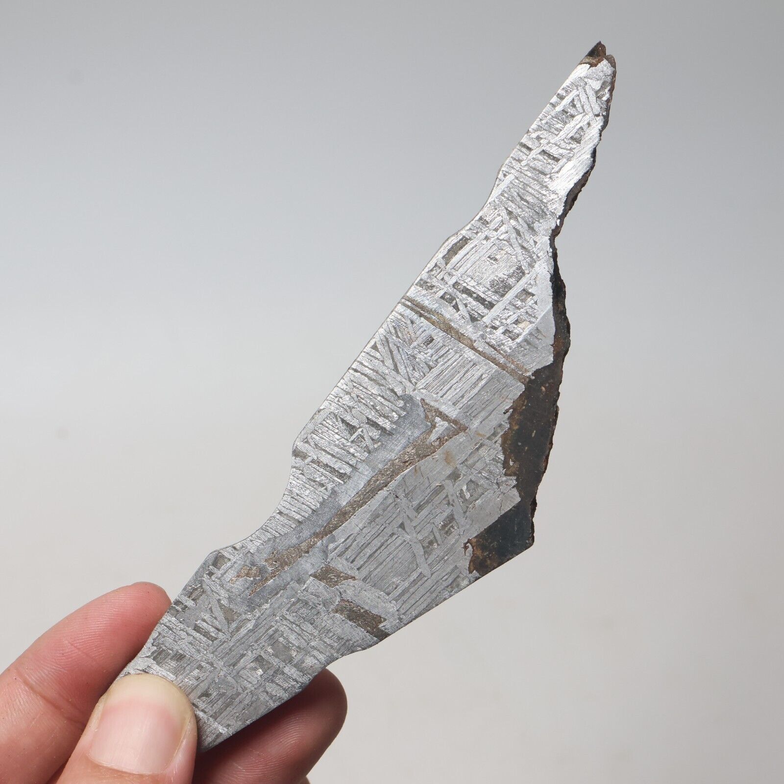 115g Muonionalusta meteorite part slice  A2645