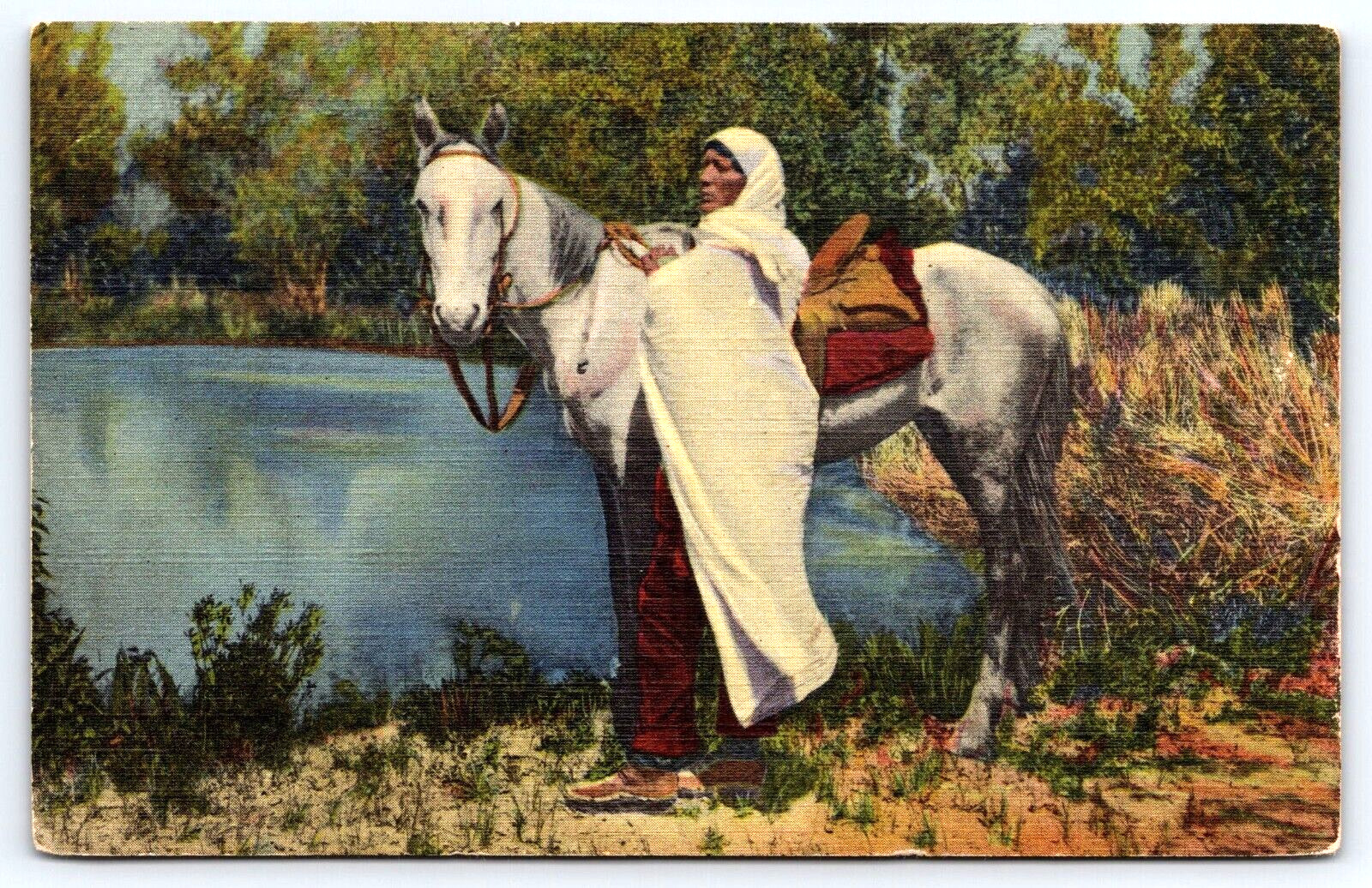 Postcard Native American Taos Indian Horseman and White Horse by Lake Linen A19