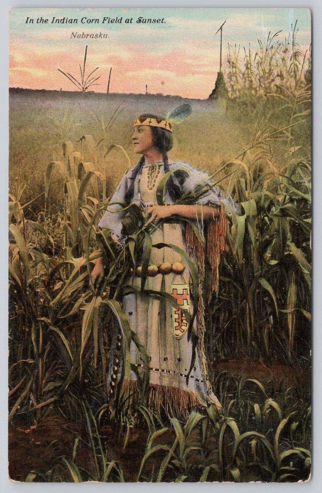 Vtg Post Card In The Indian Corn Field At Sunset, Nebraska H394