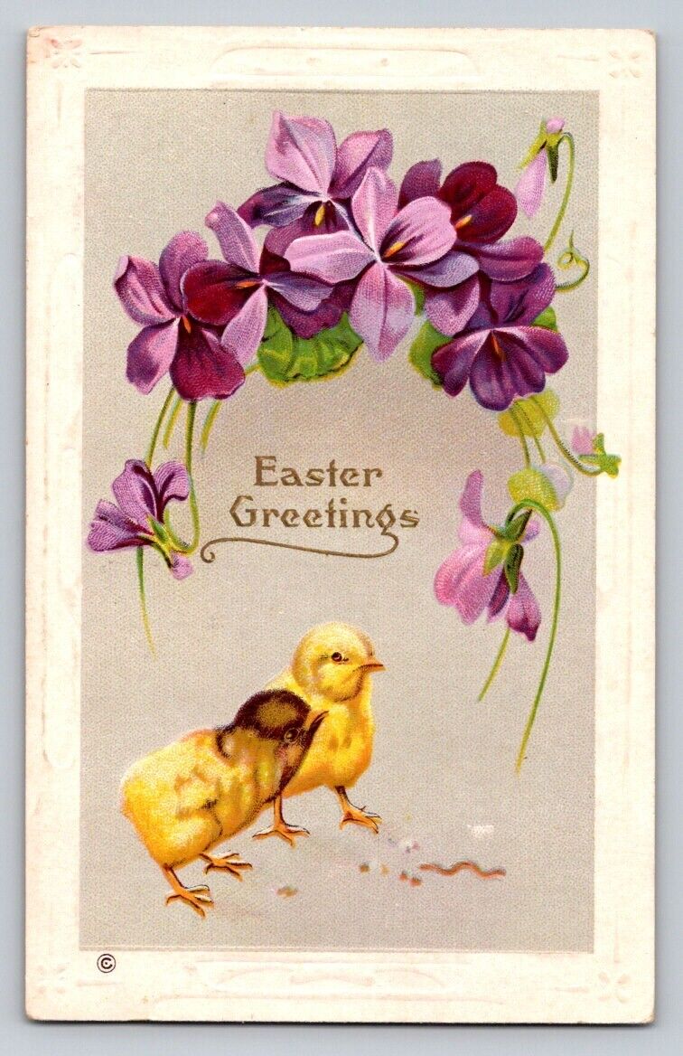 c1910 Violets Cute Chicks Easter P378