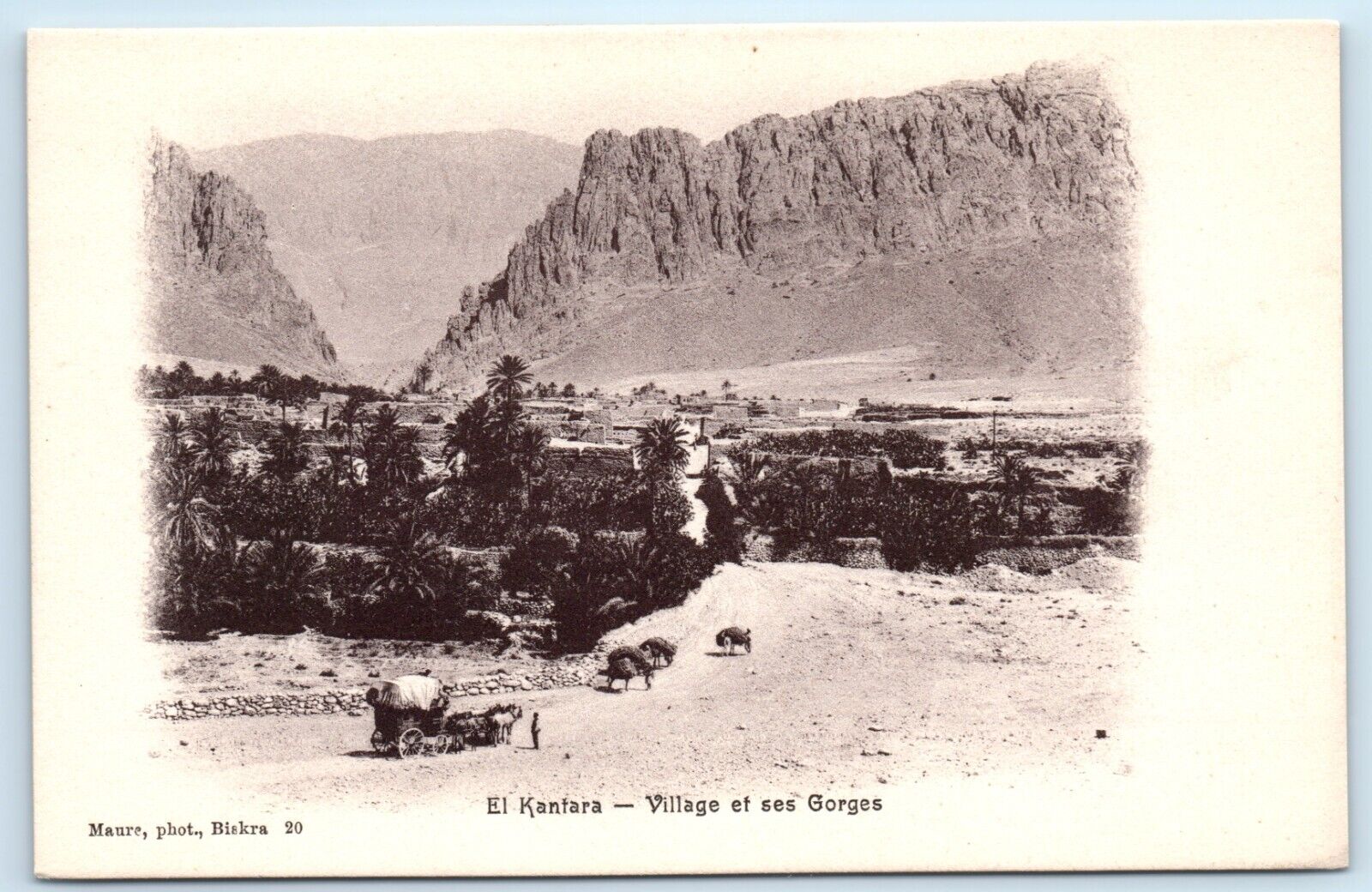 POSTCARD Algeria El Kantara Village and Gorges Horse Drawn Wagon