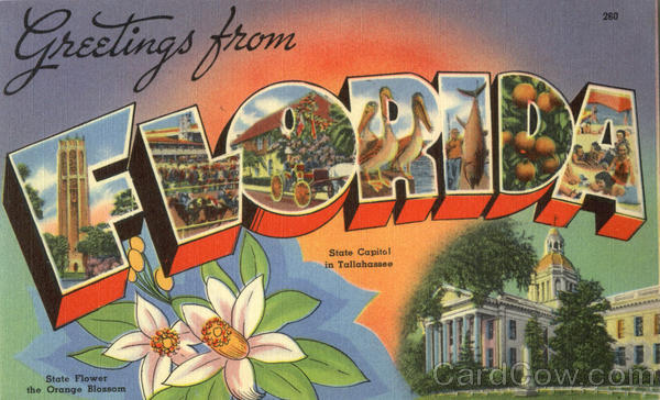 Greetings from Florida Tichnor Large Letter Linen Postcard Vintage Post Card