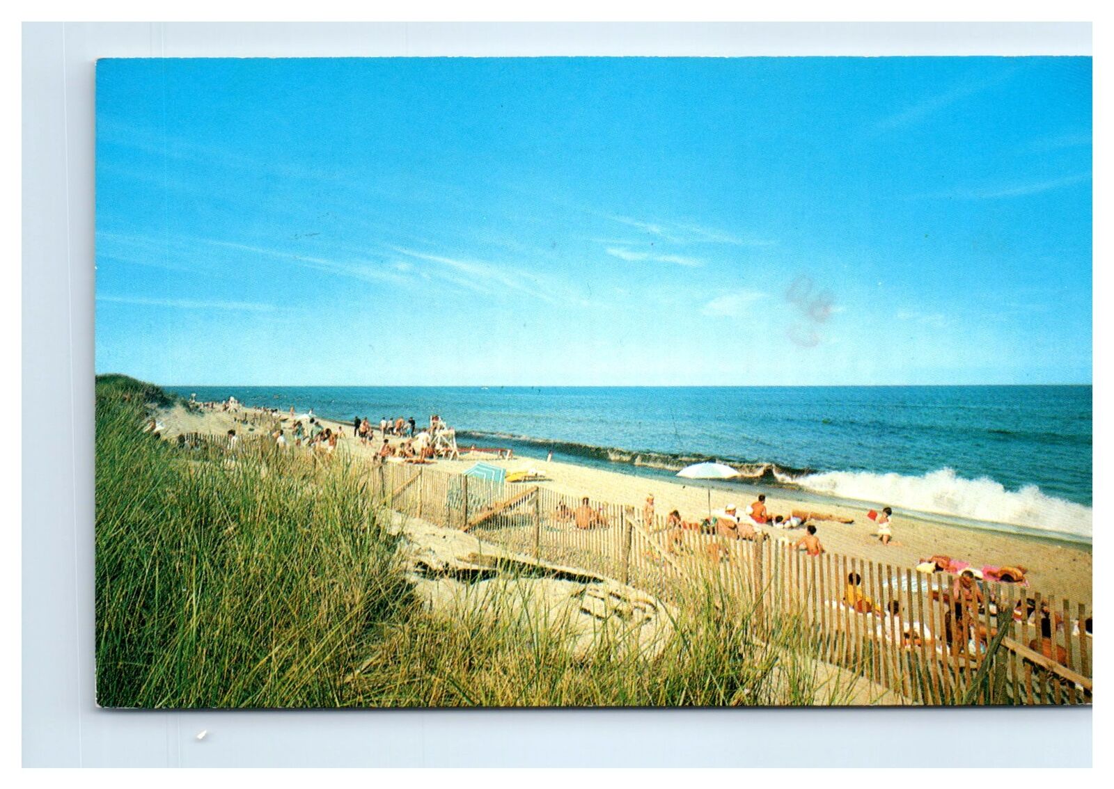 1983 Cape Cod, MA Postcard-  NAUSET BEACH
