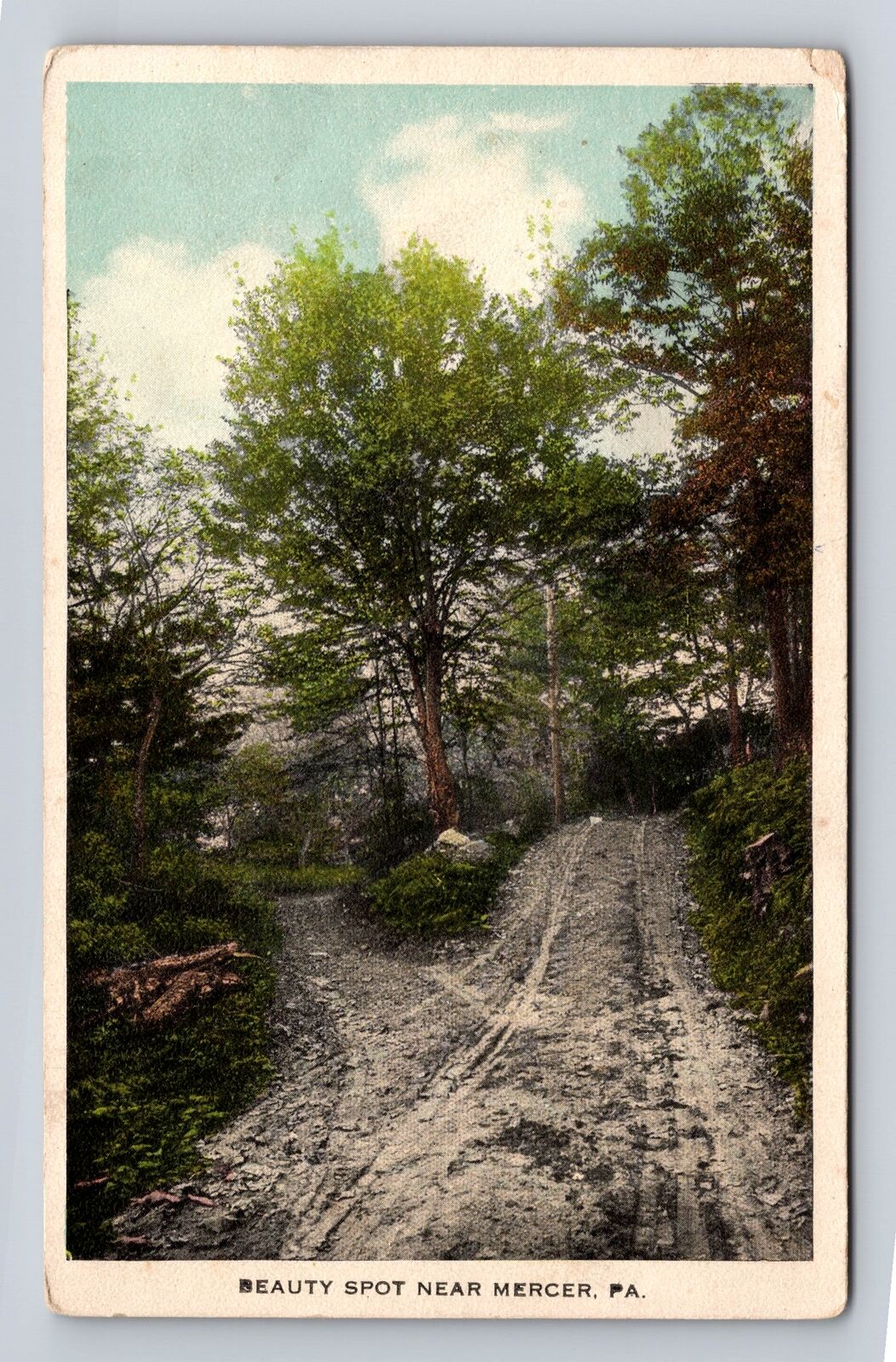 Mercer PA-Pennsylvania, Beauty Spot, Antique, Vintage Souvenir Postcard