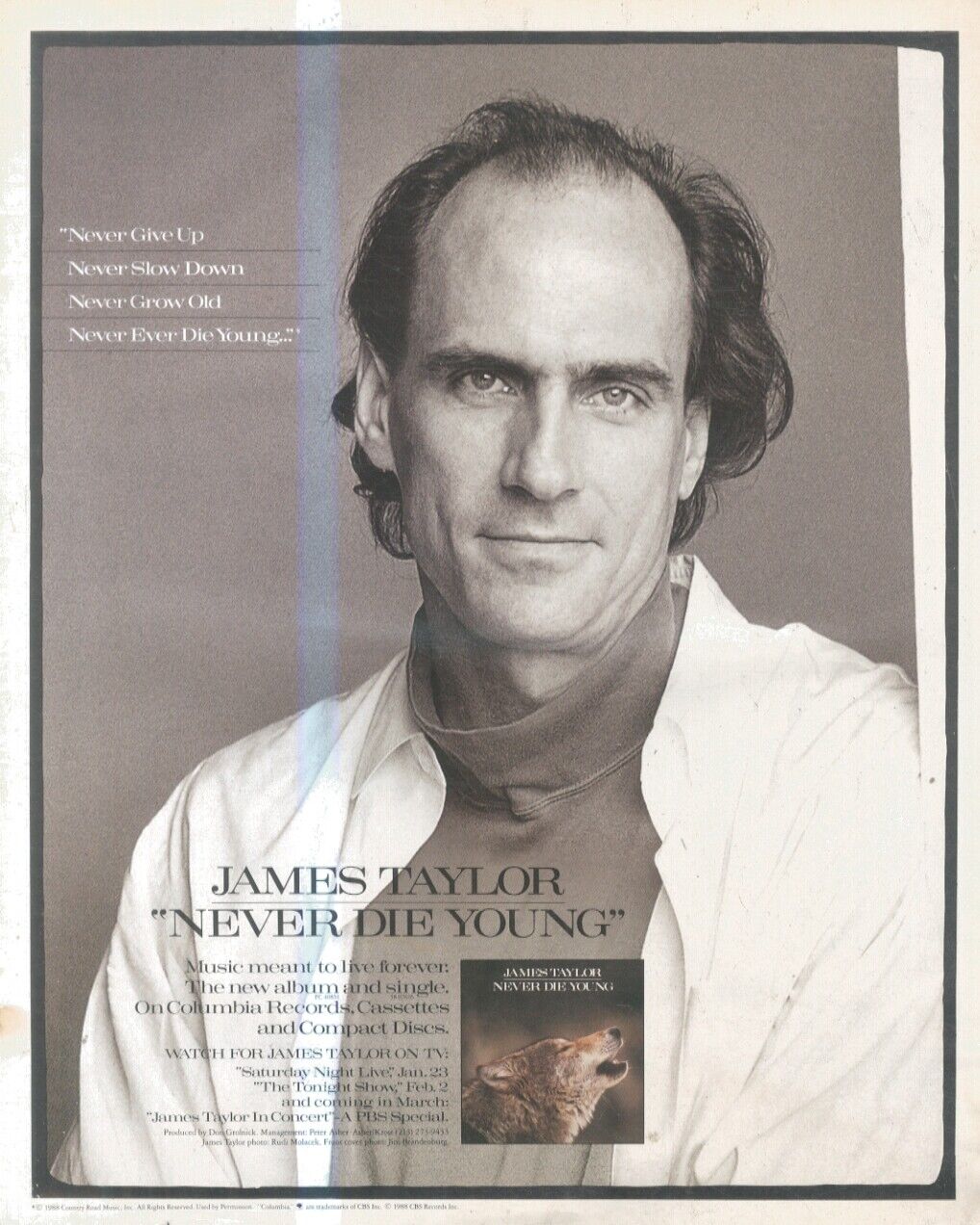 SFBK22 PICTURE/ADVERT 13x11 JAMES TAYLOR : NEVER DIE YOUNG