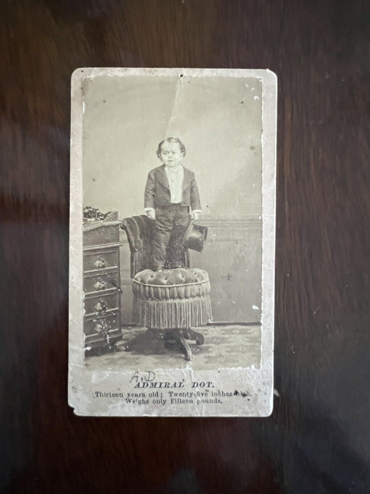 Vintage Young Admiral Dot CDV- Barnum Freak Sideshow Circus- Anthony Photograph