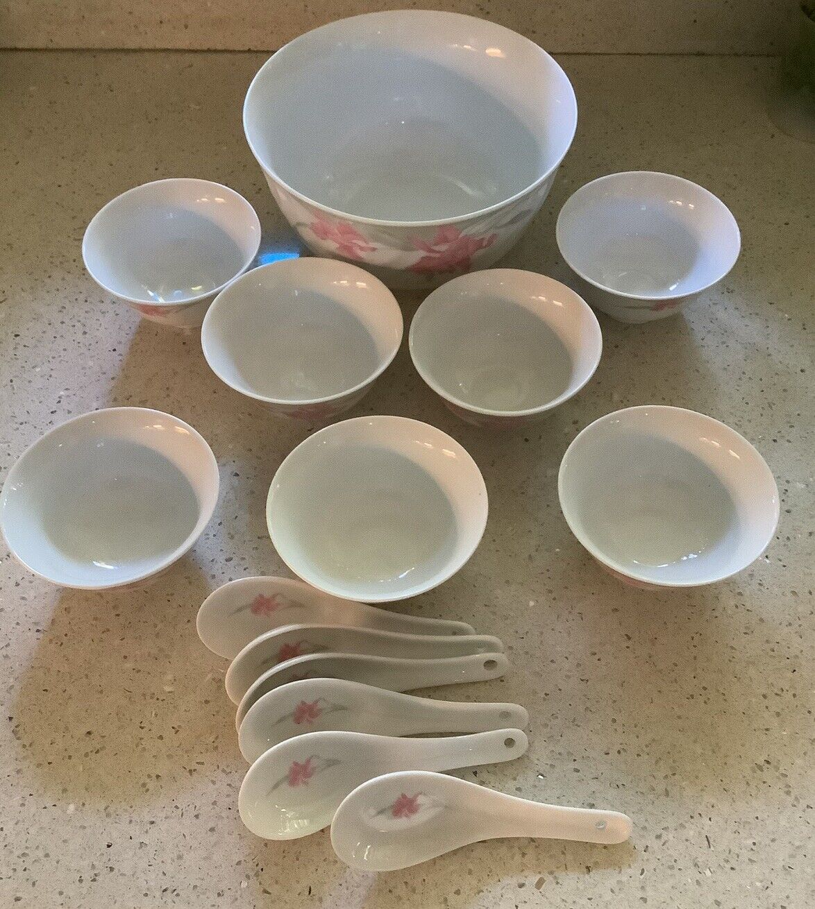  1 Large, 7 Small Bowls, 6 Spoons,Pink Iris Design, Quality China