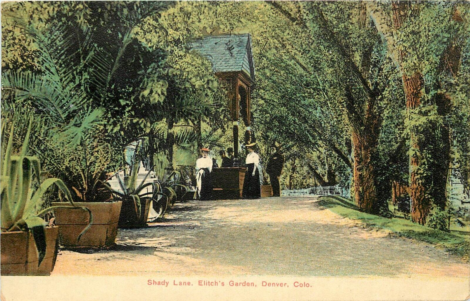 c1910 Chromolithograph Postcard  Shady Lane, Elitch\'s Garden, Denver CO posted