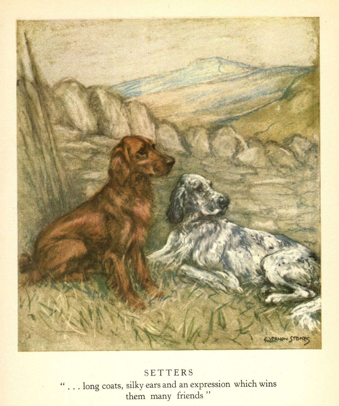 1947 Antique Irish & English Setter Print Vernon Stokes Dog Art Print 4962L
