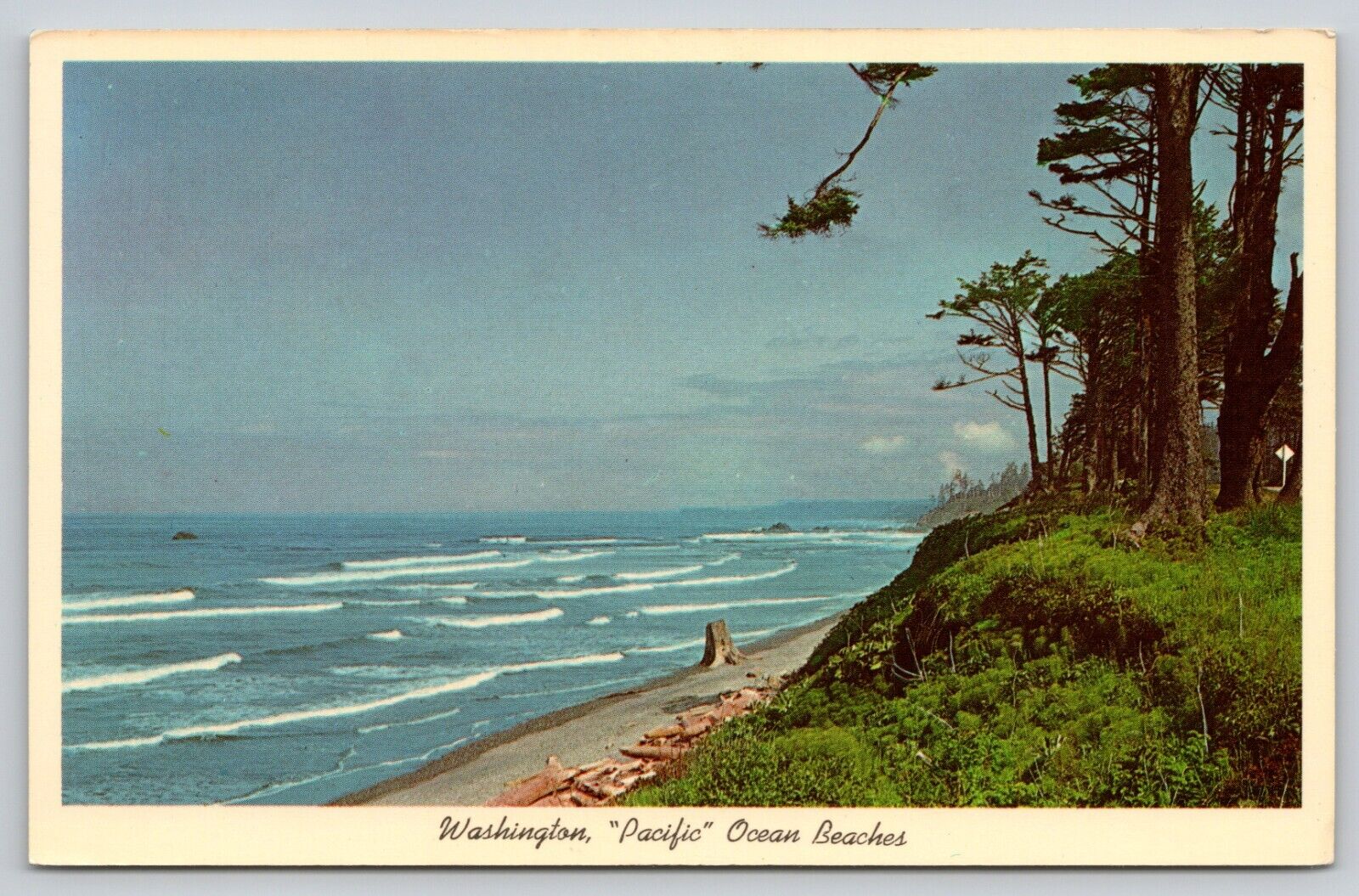 Postcard WA State Of Washington Pacific Ocean Beach UNP A34