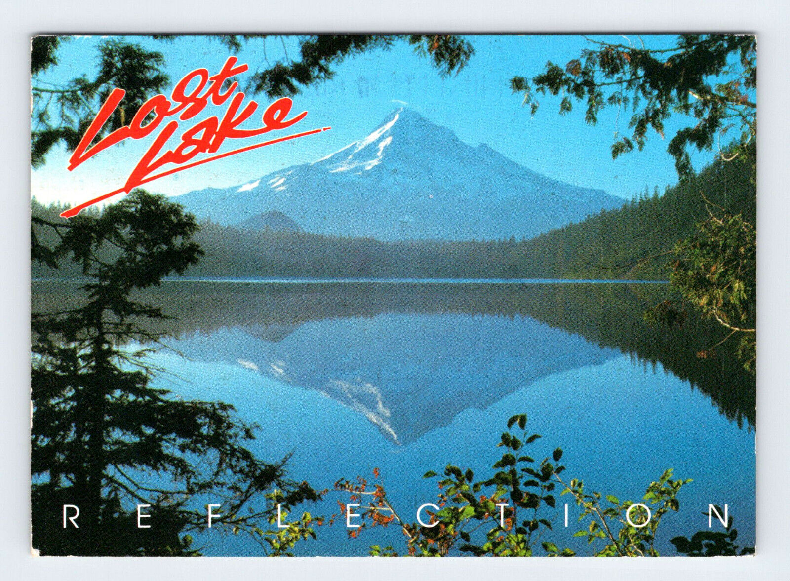 Lost Lake Reflection Mt. Hood Oregon Vintage 4x6 Postcard OLP14