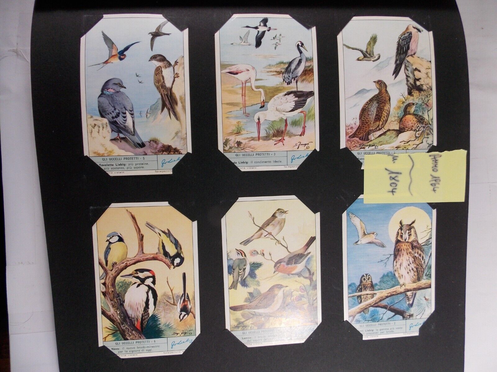Liebig Trade Cards Protected Birds Gli Uccelli Protteti Complete Set 6
