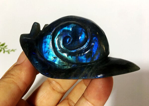 Polished Hand Carved Blue  Labradorite Snail Crystal Skull Carving Decoration