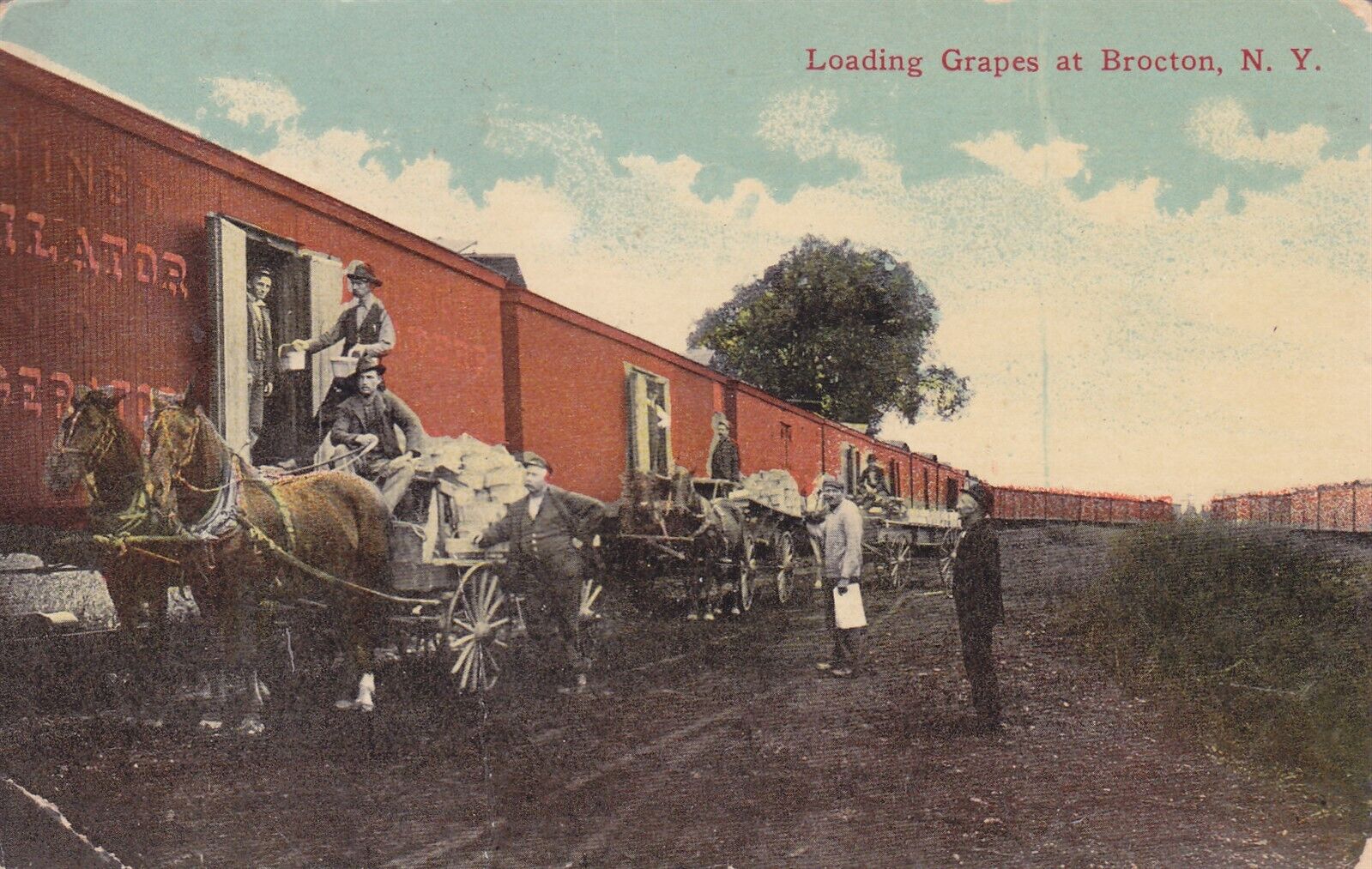 Loading Grapes at Brocton, NY