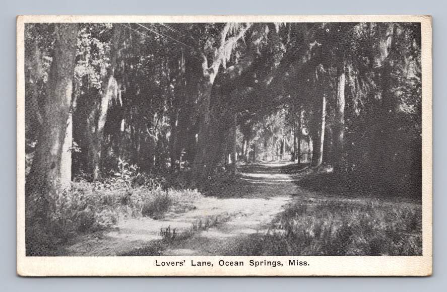 Lovers Lane OCEAN SPRINGS Mississippi Antique Postcard 