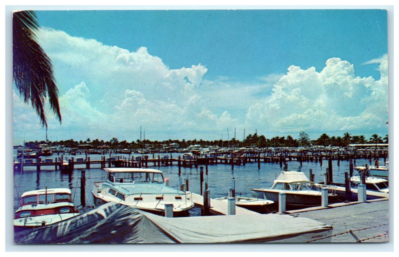 POSTCARD Bahia Mar Yacht Basin Ft Lauderdale Florida FL Boats Ships Docks