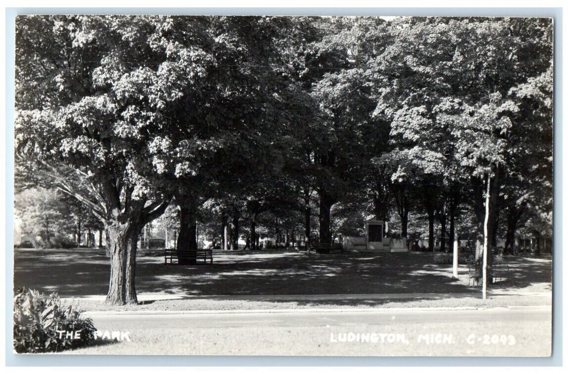 c1940\'s City Park Trees Bench View Ludington MI RPPC Photo Unposted Postcard
