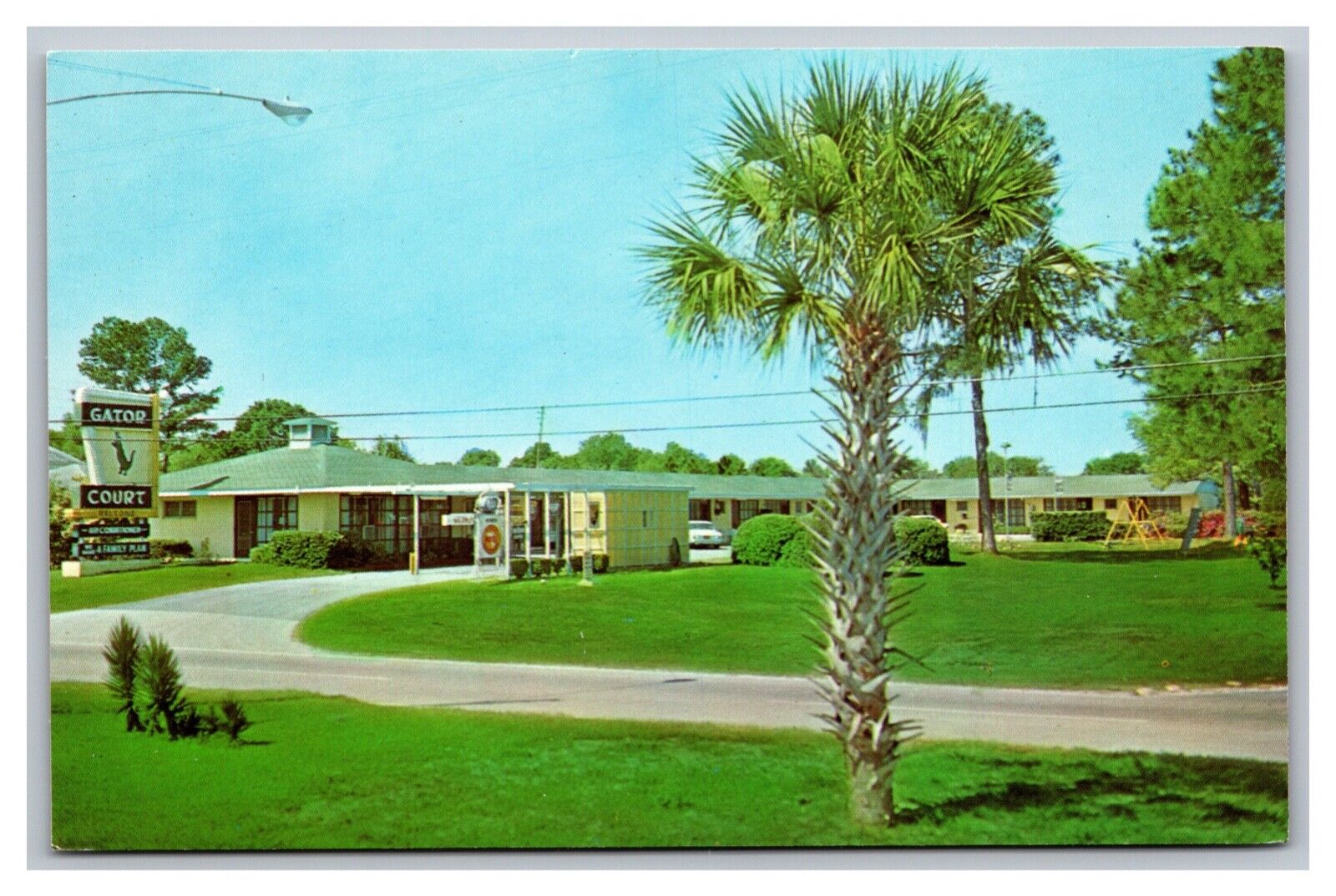 Gainesville FL Florida Gator Court Motel Street View Unposted Chrome Postcard